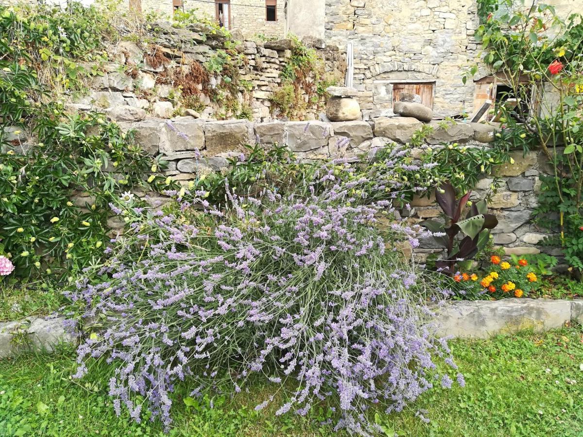 Casa La Abadia De Antin Apartamento Liguerre de Ara Exterior foto